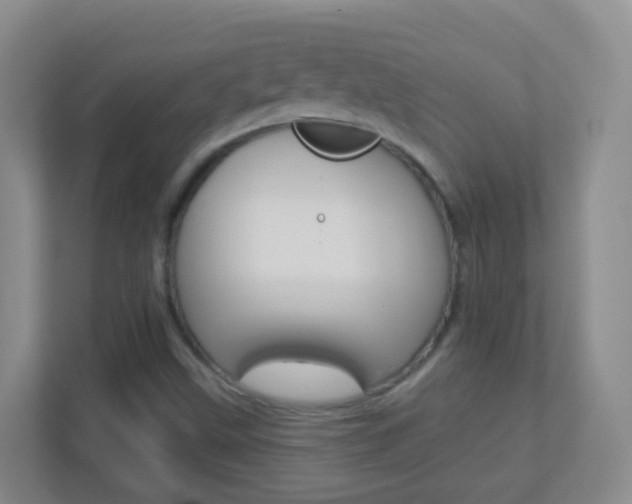 X0000113881499200909241016