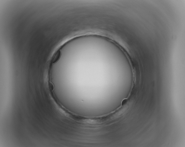 X0000113881500200909241016