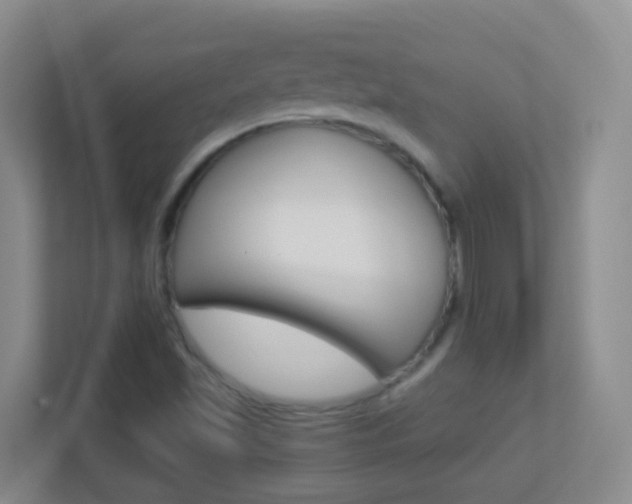 X0000113881501200909241016
