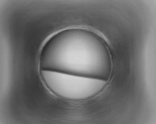X0000113881504200909241016