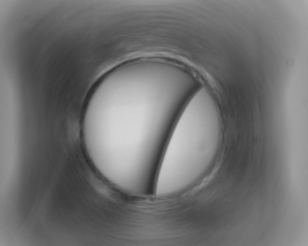 X0000113881505200909241016