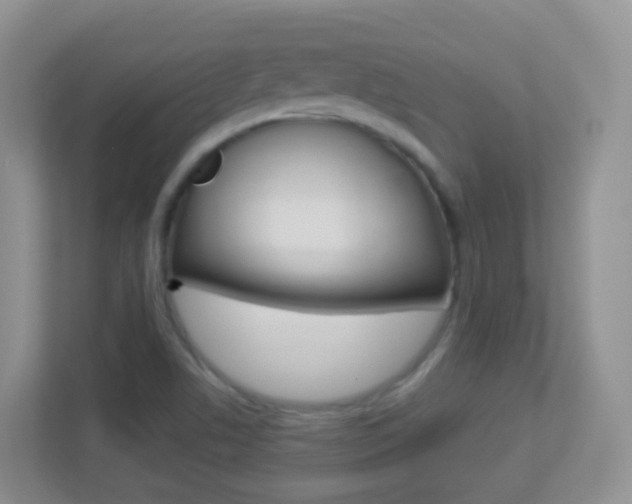 X0000113881506200909241016