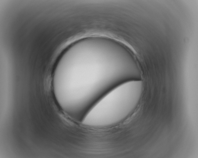 X0000113881507200909241016
