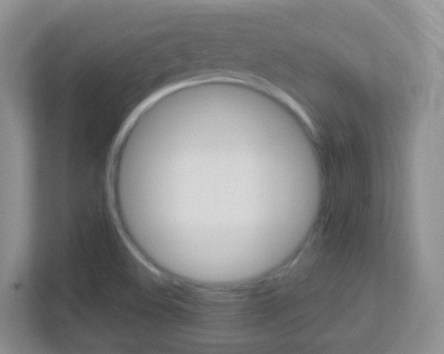 X0000113881508200909241016