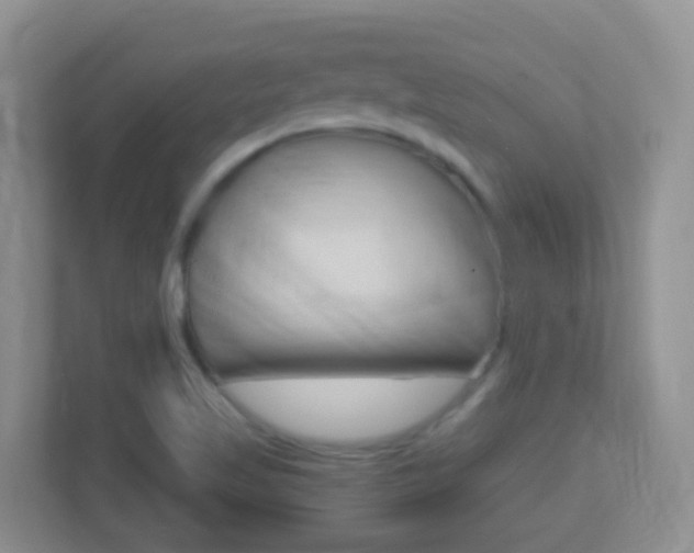 X0000113881509200909241016