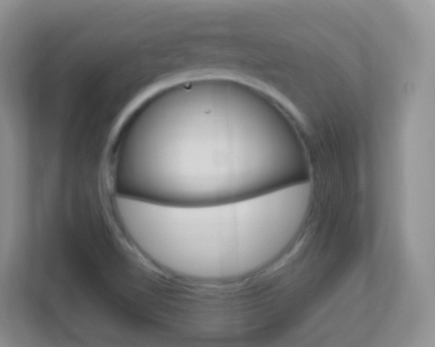 X0000113881510200909241016