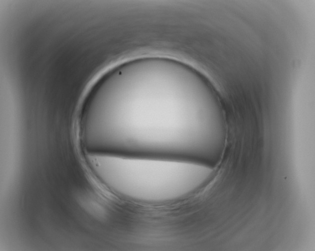 X0000113881511200909241016