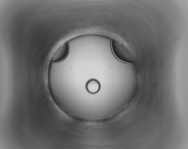 X0000113881512200909241016