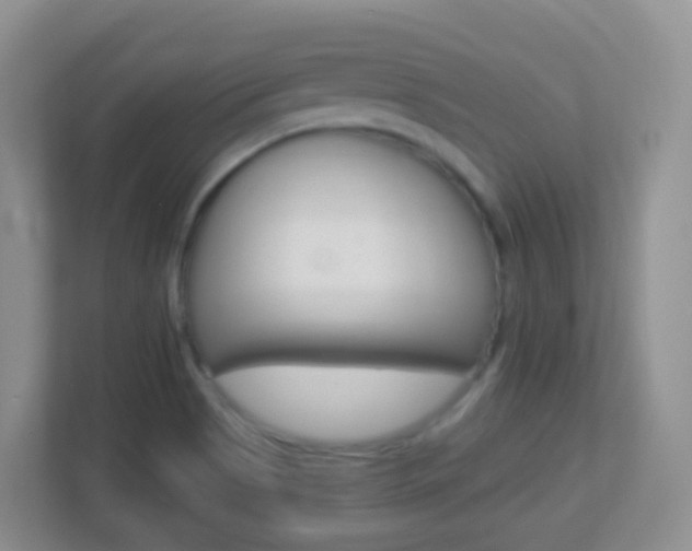 X0000113881513200909241016