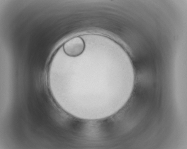 X0000113881514200909241016