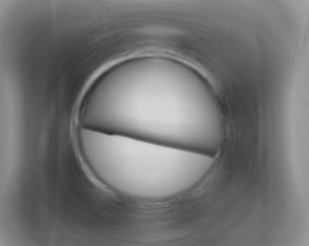 X0000113881515200909241016
