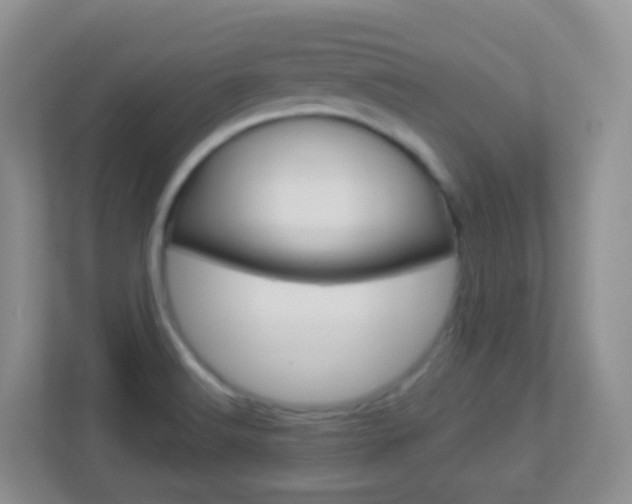X0000113881516200909241016