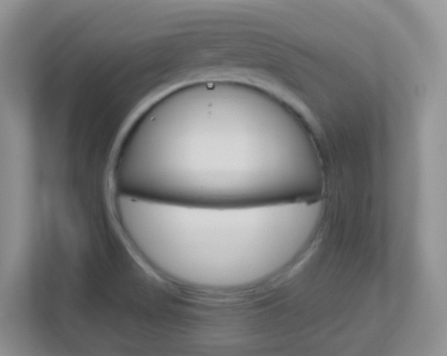 X0000113881517200909241016