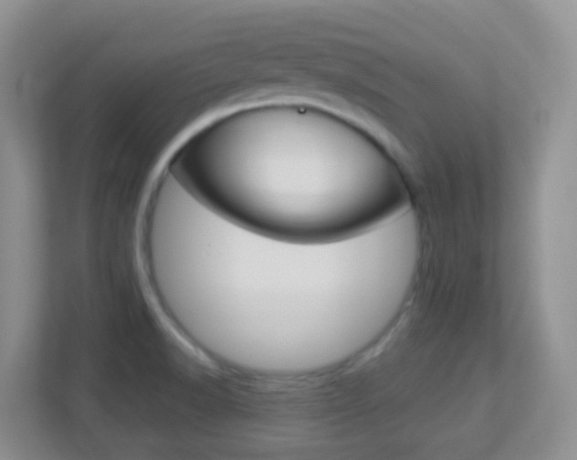 X0000113881518200909241016