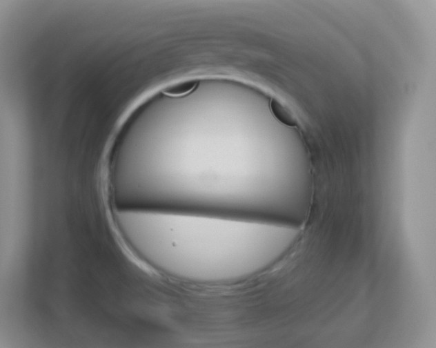 X0000113881519200909241016