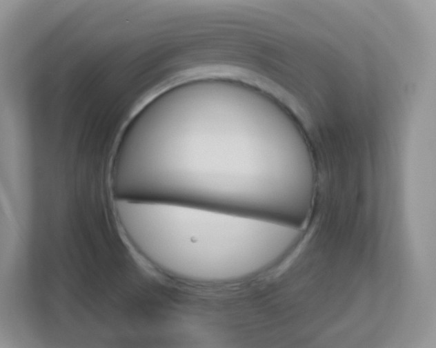 X0000113881521200909241016