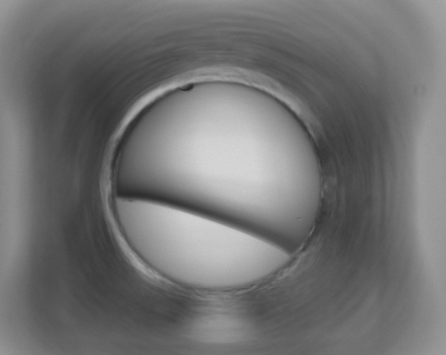 X0000113881523200909241016