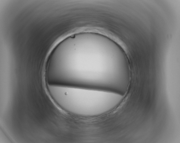 X0000113881525200909241016