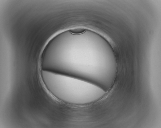 X0000113881526200909241016