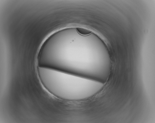 X0000113881527200909241016