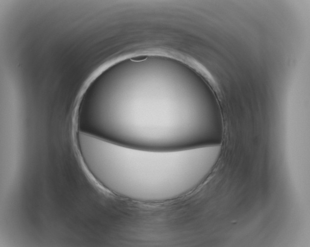 X0000113881528200909241016