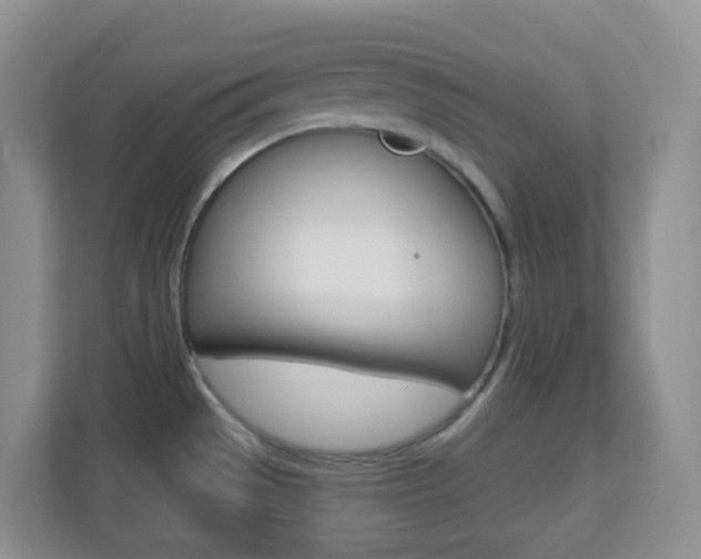 X0000113881529200909241016