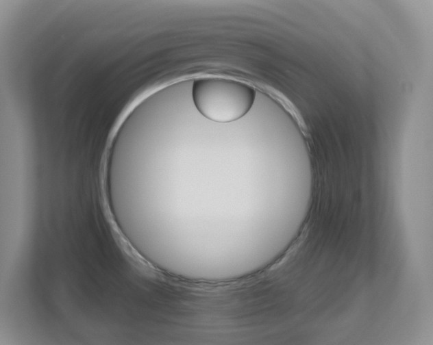 X0000113881530200909241016