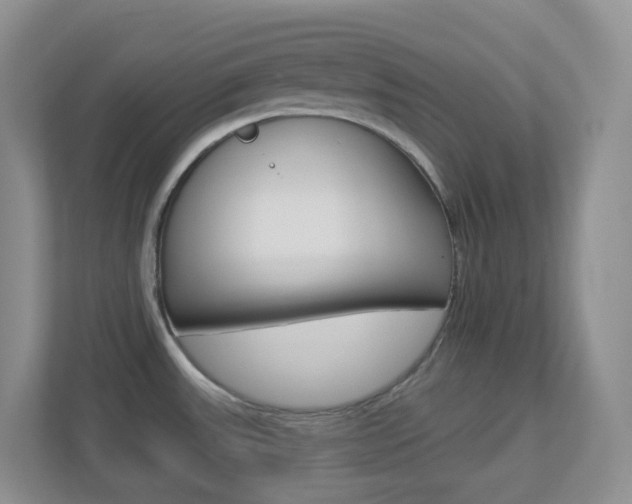 X0000113881531200909241016