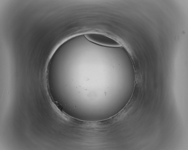 X0000113881532200909241016