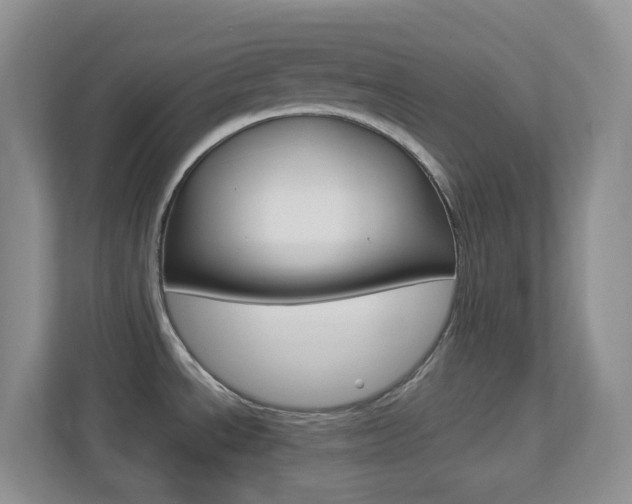 X0000113881534200909241016