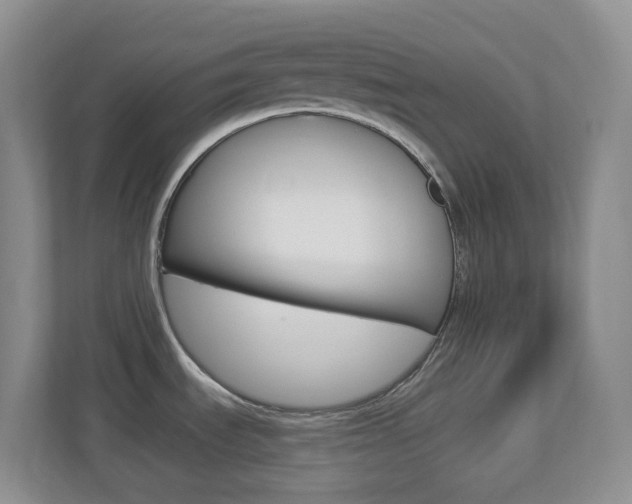 X0000113881535200909241016
