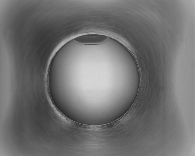 X0000113881536200909241016