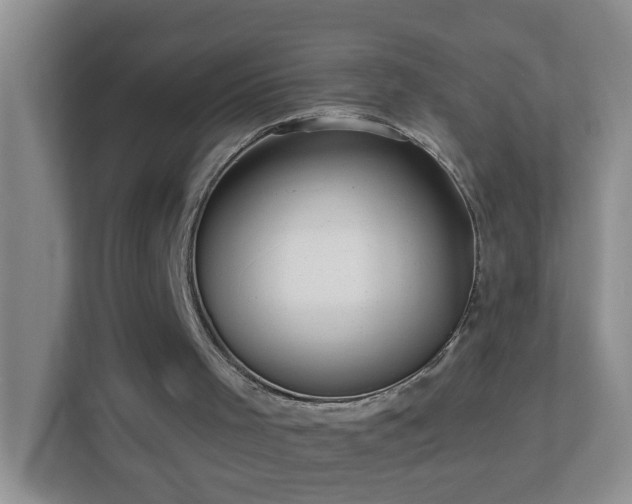 X0000113880001200909241402