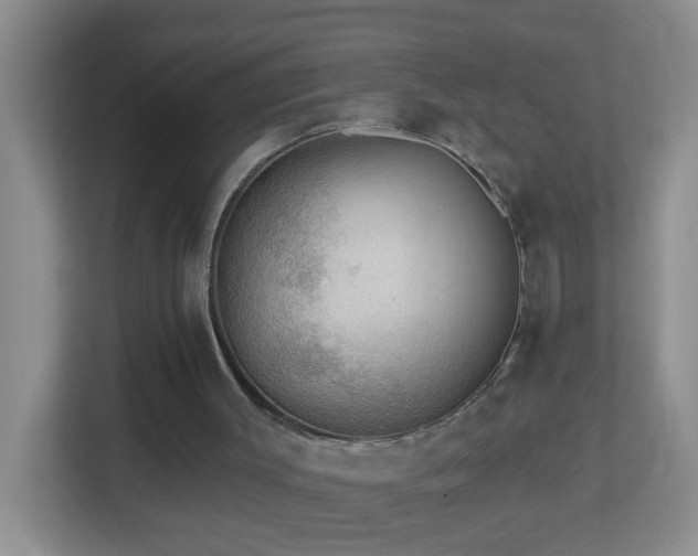 X0000113880003200909241402