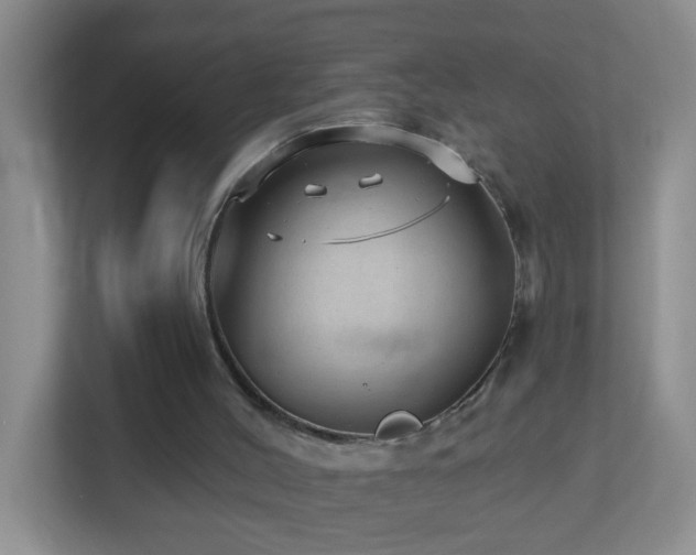 X0000113880004200909241402