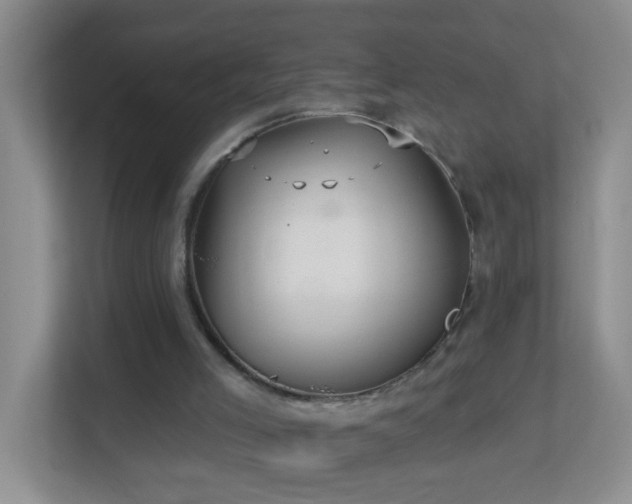 X0000113880005200909241402