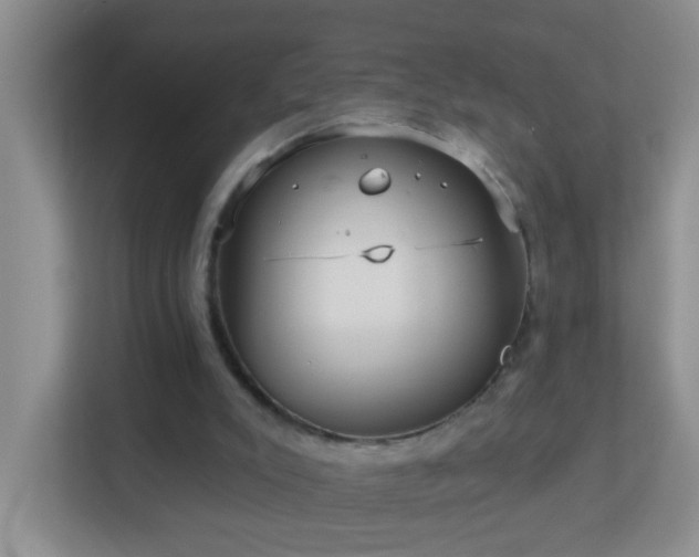 X0000113880007200909241402