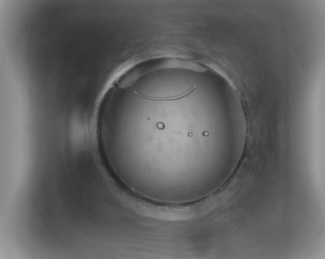 X0000113880008200909241402