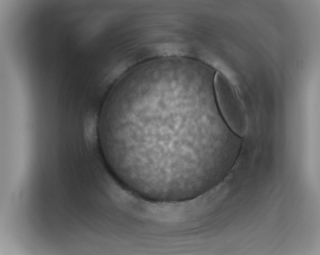X0000113880009200909241402