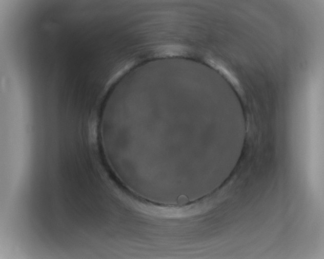 X0000113880010200909241402