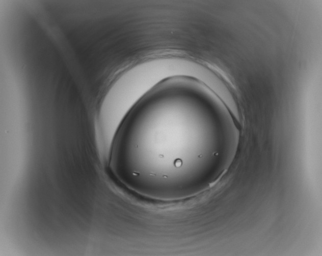 X0000113880013200909241402