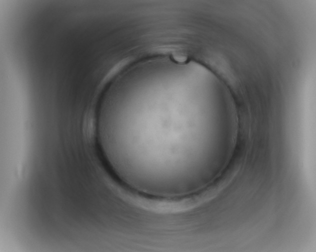 X0000113880016200909241402