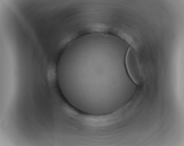 X0000113880017200909241402
