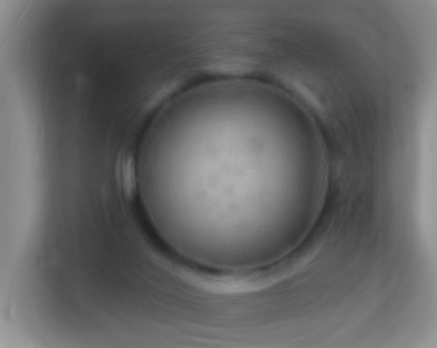 X0000113880020200909241402
