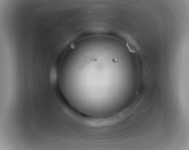 X0000113880021200909241402