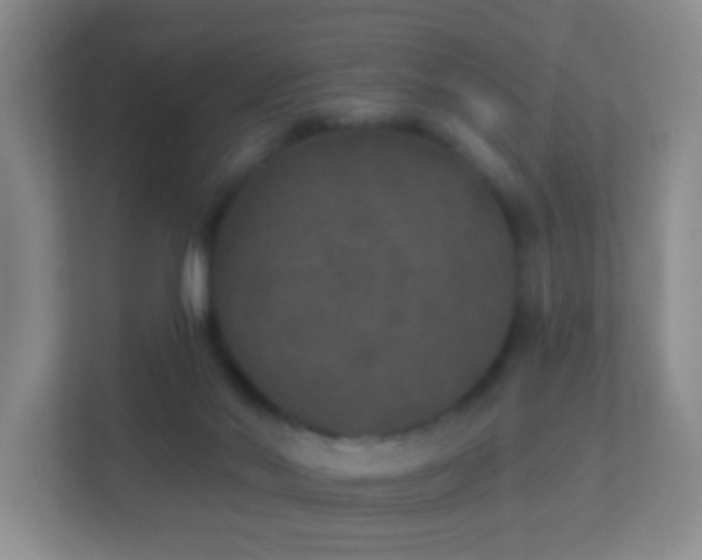 X0000113880022200909241402