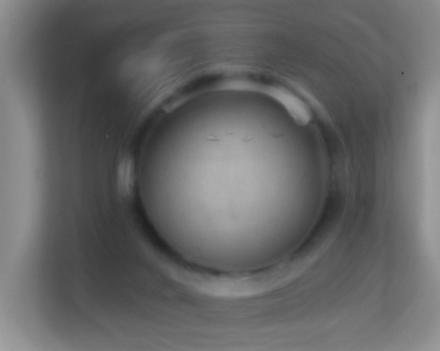 X0000113880024200909241402