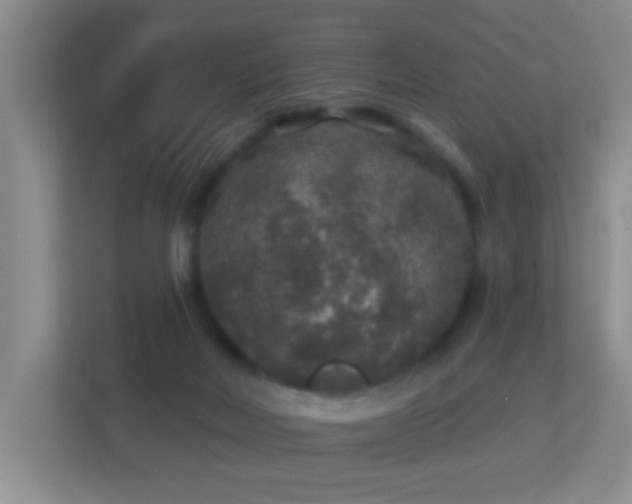 X0000113880026200909241402