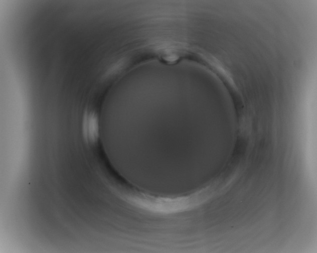 X0000113880027200909241401