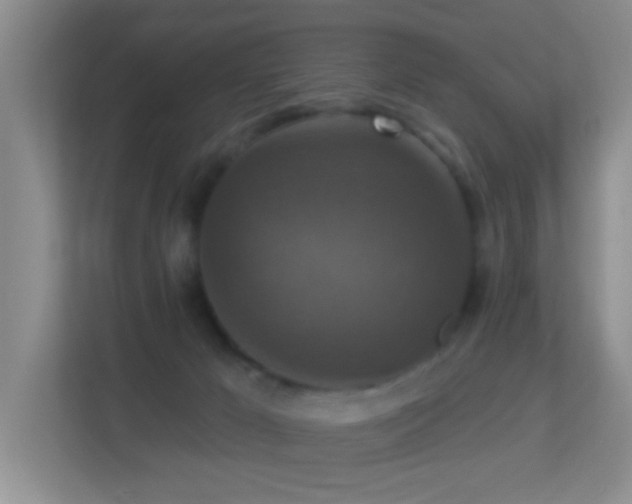 X0000113880029200909241401